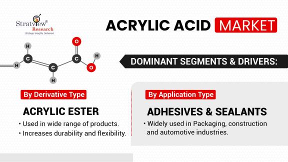Acrylic-Acid-Market-Segment-Analysis-By-Derivative-Type